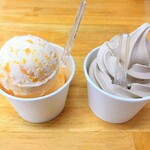 Tateyama Nakamuraya - 左がびわアイス、右がモカソフトクリーム