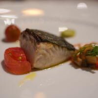 ヴォーロ・コズィ - 