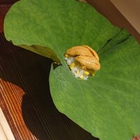 蓮 三四七 - 