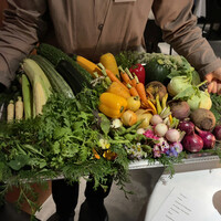 レフェルヴェソンス - 