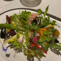 レフェルヴェソンス - 