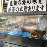 Kaisenzushi Shiogamakou - 魚が泳いでいます。
      アナゴ、ウマヅラハギ、タケノコメバル、カサゴ、アイナメ、ホウボウなど、近海でお馴染みの魚です。