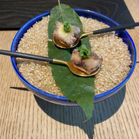 ザ リビング パビリオン by アマン  - 