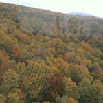 酸ヶ湯温泉旅館 - 