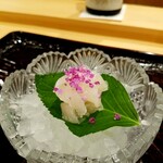 勢麟 - 「鱧のお造り」転じてはんなりと、紫陽花に見立てたお造り。大きな鱧の骨の無い背の部分だけを使う。かなり脂が乗っている。
