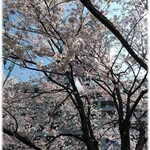 酢重ダイニング 六角 - 