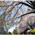 酢重ダイニング 六角 - 