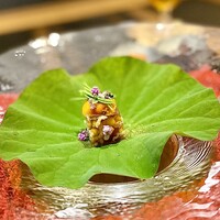 4000 Chinese Restaurant - ①穴子の煮凝り ～穴子に醤油やクミンや桂皮を使った中華風煮凝り。雲丹と芽葱をのせた和食の風味漂う前菜。蓮の葉にのせた華麗なビジュアルは煮凝りと良く合ってるな〜。
