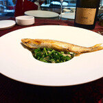 トムクリオーザ - 