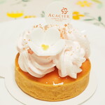 タルト・ベニウメ