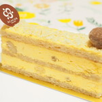 アカシエ - デリス・マカダミア