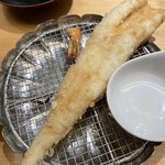 Tempura Meshi Kaneko Han Nosuke - 