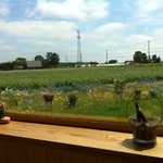 ファームレストラン野島さんち - 