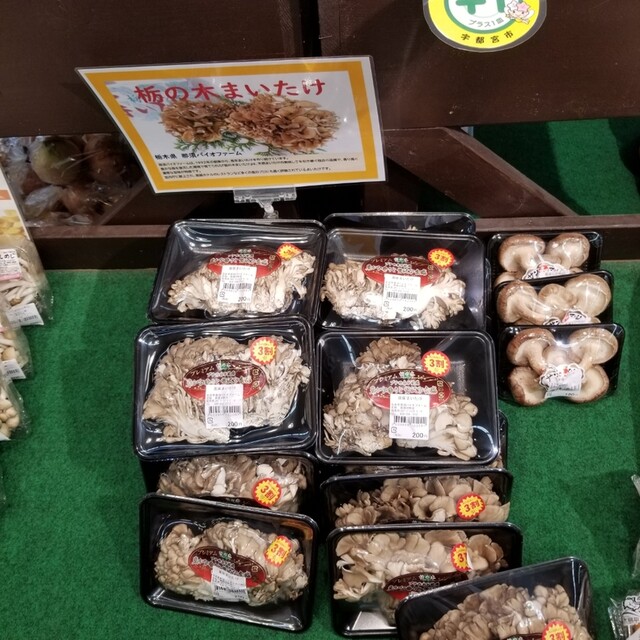 Jaうつのみや グリーンインターパーク 雀宮 その他 食べログ Jaうつのみや グリーンインターパーク 雀宮 その他 食べログ