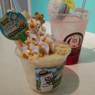 ロールアイスクリームファクトリー_1