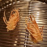 てんぷら 下村 - 海老