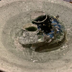 柚木元 - 元気に泳ぐ天竜川の天然鮎