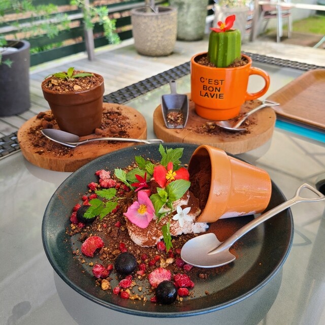 メグカフェ ゴーイチイチ Meg Cafe 511 見附 カフェ 食べログ