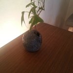 ワド オモテナシ カフェ - 