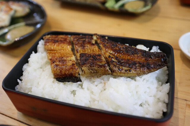 うなぎ処 もりやま 宮崎市その他 うなぎ 食べログ