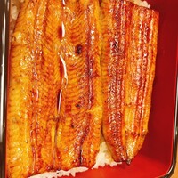 割烹 蒲焼 大沼 - 