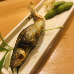 味享 - 奥飛騨の双六渓谷の釣り鮎。釣り師の方から直接届きます