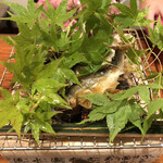 和やまむら - 鮎の塩焼き