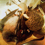 deco - ジビエたん達