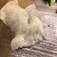 鮨 栄美古 - 