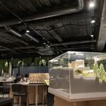 SUMIKA ARCHTECTURE CAFE - 