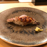 木挽町 とも樹 - 朝茹でのしゃこのにぎり