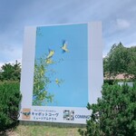 캐봇토 코부 뮤지움 테라스