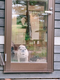 カフェアンドインテリア エル - 