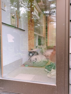 カフェアンドインテリア エル - 