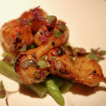 エクアトゥール - 