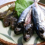 Ryokambichi - 鯵と鰈の干物　