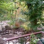 曄 - 店内から庭を見る