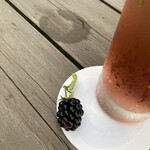 ガーデンレストラン 風舎 - 