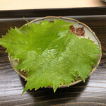 片折 - 富山 庄川 天然鮎鮨
      →生きてる鮎に串打ちして炭火で焼き、その焼立てで握ってから少し熱を取るために寝かした鮎鮨…