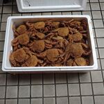 一条流がんこ総本家分家四谷荒木町 - 「活き毛ガニ１０キロ」