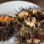 ホテル雲丹御殿 - 