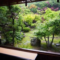 日本料理 和か葉 - 