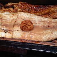 にょろ助 銀座 - 