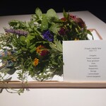 レスピラシオン - ハーブティーのハーブ