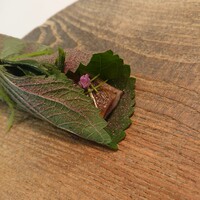 Installation Table ENSO L'asymetrie du calme - 鰯のスモーク