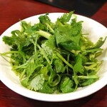 Chouya - 香菜