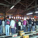 海峡荘 - マグロ解体ショー。せりも参加できました。