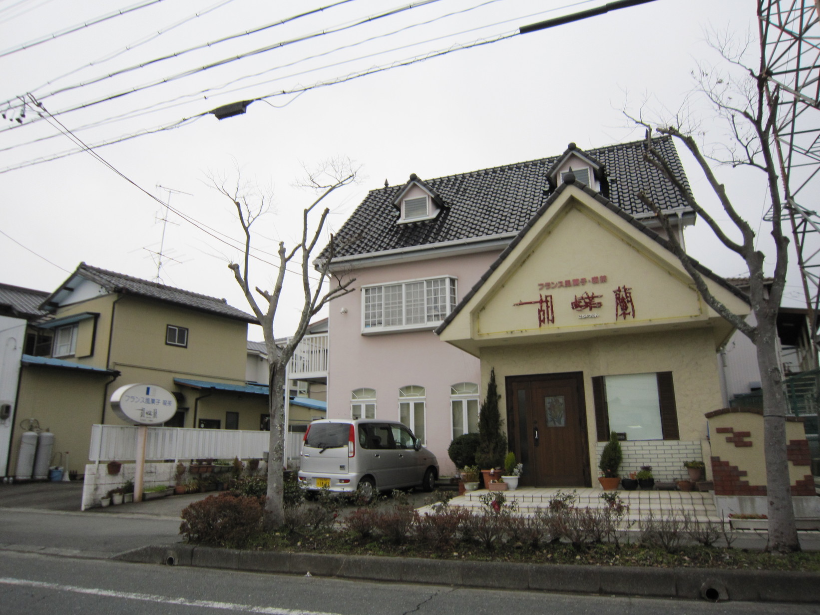 胡蝶蘭 name=