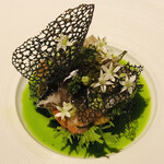 ラ・ヴァガボンド - 貝