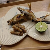 懐石料理 桝田 - 鮎